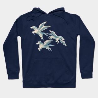 Flying horse Hoodie